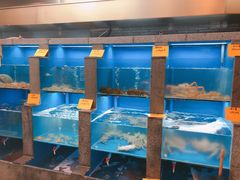 水产区-宁波状元楼酒店(和义路店)