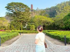 -南沙蒲洲花园
