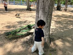 -秦皇岛野生动物园