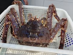 蓝帝王蟹-大锅强·蒸海鲜青岛菜(吾悦广场店)