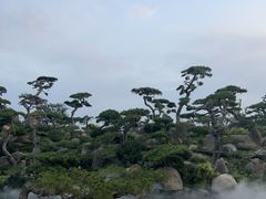 -罗红摄影艺术馆