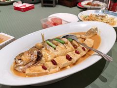 -双合园·海鲜水饺青岛菜(大尧三路店)