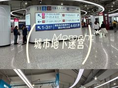 -东方体育中心(地铁站)
