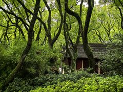 -天一阁博物院