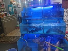 -韩妹鱼庄·泸定老字号(泸定店)