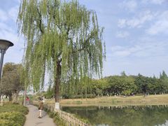 -升仙湖公园