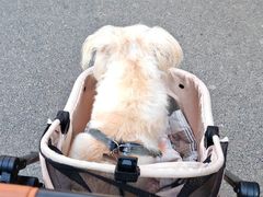 -枫叶小镇奥特莱斯