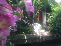 -谷咖啡·鲜花绿植花园餐厅