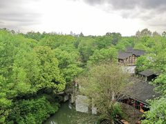 -西溪国家湿地公园