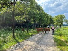 -Club Med地中海俱乐部·桂林度假村