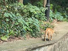 -狼山风景名胜区