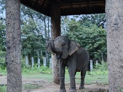 -清迈夜间动物园