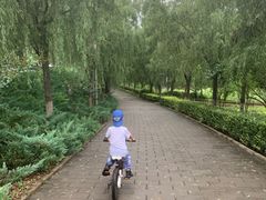 -云岗森林公园