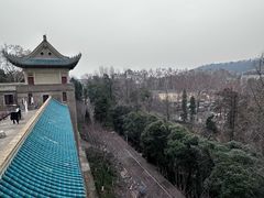 -武汉大学老图书馆