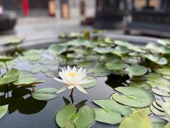-慈恩寺