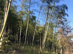 -会稽山峡洞漂流-上青古道