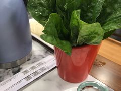 -宝财诚老北京涮肉(周庄店)
