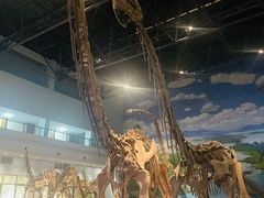 -自贡恐龙博物馆