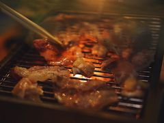 -丹东特色烤肉(学府路一部店)