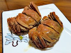 -呼吸森林·生态农庄农家乐私房菜