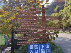 -西安祥峪森林公园