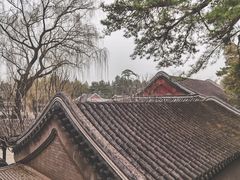 -颐和园