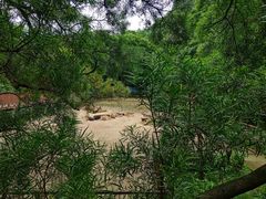-柳州市动物园