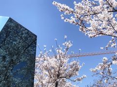 -龙美术馆(西岸馆)