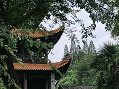 -白鹭洲书院