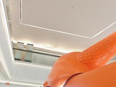 -野人先生现做冰淇淋(北京王府井东方新天地店)