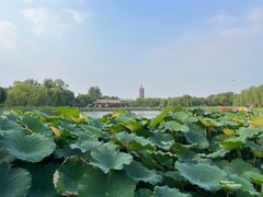 -西海子公园