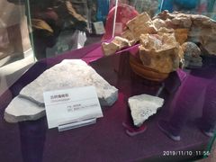 -陕西自然博物馆