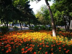 -东北大学(南湖校区)