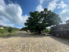 -福建土楼(南靖)景区
