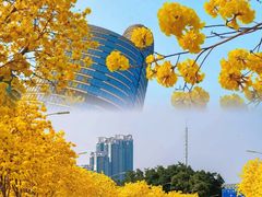 -洲头咀公园
