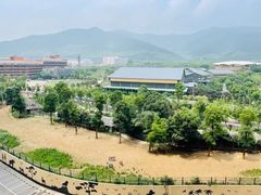 -太湖龙之梦