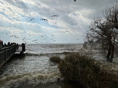 -捞渔河湿地公园