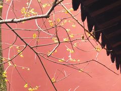 -钱王祠