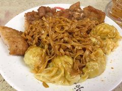 豬扒雲吞捞面-彩香园咖啡美食(海南花园第2座店)