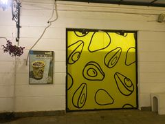 -油梨树AVOCADO TREE(顺义新国展店)