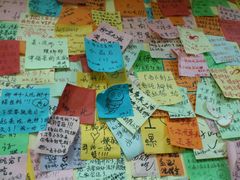 DSC_0896-丽丽三鲜螺蛳粉(田林路店)
