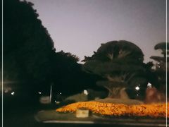 -南宁南湖公园