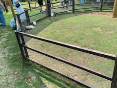 -长兴太湖图影湿地文化园