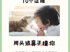 -御宝贝·A梦猫科宠物医院(国际猫友好医院)