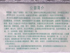 -羚羊峡古栈道森林公园