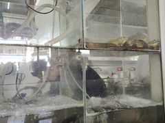 -胡子饮食店