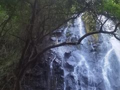 -马峦山郊野公园
