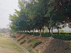 -风云岭森林公园