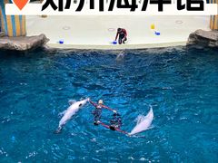 -郑州海洋馆