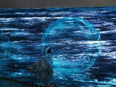 -精绝七日-新疆尼雅遗址数字大展【拉法耶文化艺术中心】